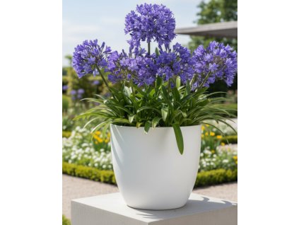 white bg result 2026 01 14T075204.521