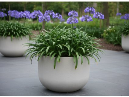 white bg result 2026 01 14T074421.813