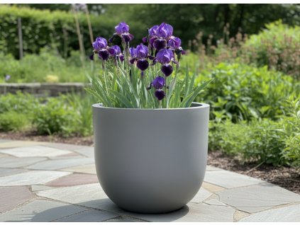 white bg result 2026 01 14T082445.174