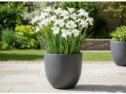 white bg result 2026 01 14T083336.256