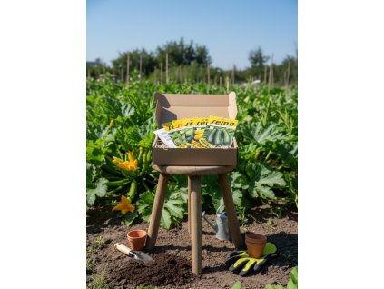 white bg result 2026 01 15T114623.144