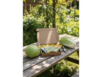 white bg result (19)