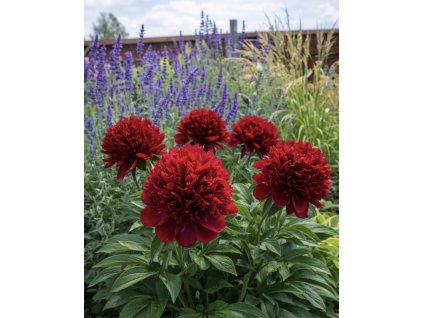 5BE08020 89B8 4DF0 A8B8 FA6D5B97A6B2