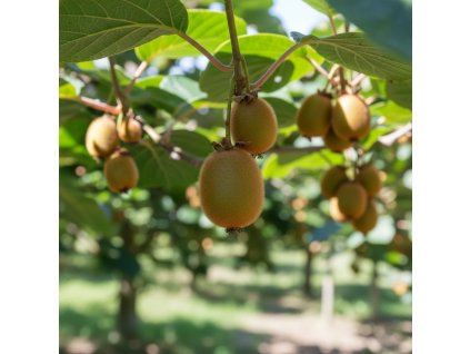 white bg result (11)