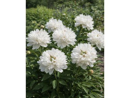 36CC6780 1EA4 4EF3 97FE 2FDEFAA619F9