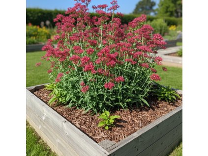 garden canvas 8f6816d1 edbe 41a2 a241 9427f6d9147b