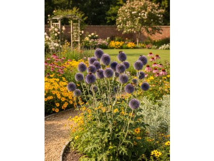 garden 1769586869222