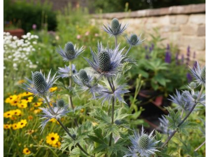 garden 1769586745010