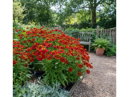 garden 1769584332175