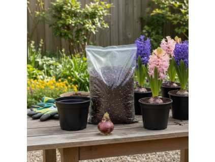 zahrada 1770125853982