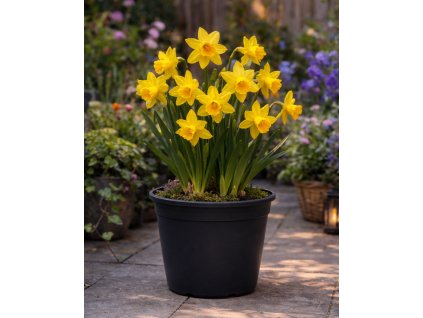 ChatGPT Image 3. 3. 2026 14 57 11