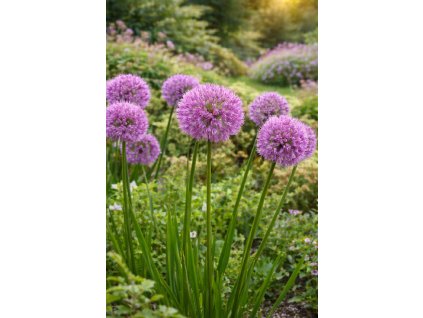 ChatGPT Image 2. 3. 2026 16 41 42