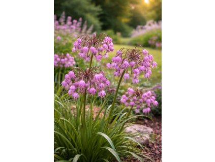 ChatGPT Image 2. 3. 2026 15 25 21