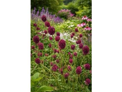 ChatGPT Image 1. 3. 2026 10 41 15