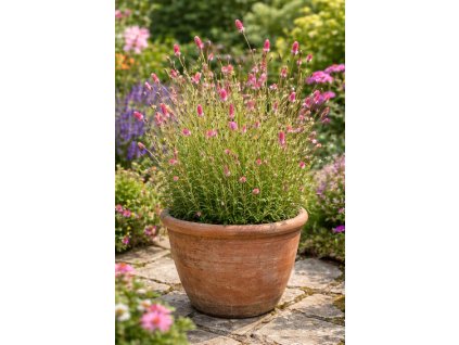 ChatGPT Image 1. 3. 2026 10 50 39