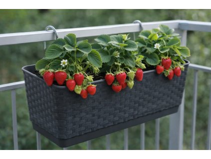 ChatGPT Image 17. 3. 2026 10 29 33