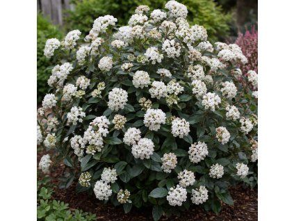 ChatGPT Image 3. 4. 2026 07 48 17