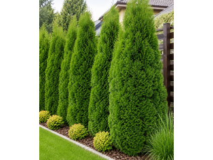 ChatGPT Image 25. 5. 2026 11 37 55