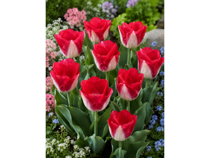 ChatGPT Image 9. 6. 2026 09 39 37