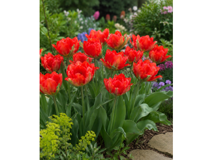 ChatGPT Image 10. 6. 2026 10 52 43