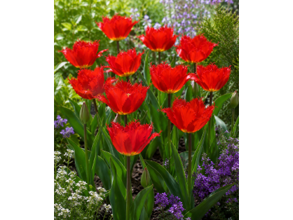 ChatGPT Image 10. 6. 2026 11 41 05