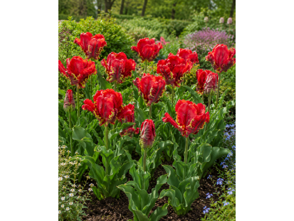 ChatGPT Image 10. 6. 2026 11 44 01