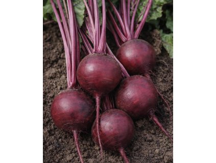 CB5AAB7D E652 4BE5 807C 0E79CDD034D7