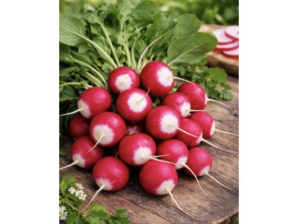 0A533BFF 72AB 4559 ACE7 499E4B48D779