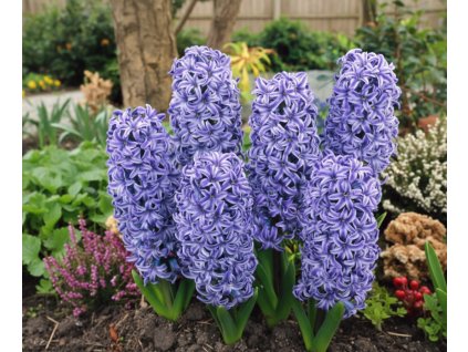 garden ai creation (9)