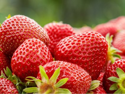 fresh strawberry closeup seasonal healthy food picture id538784572