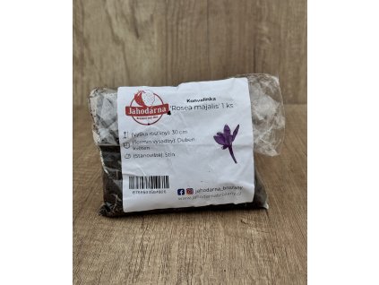 Konvalinka 'Rosea majalis' 1 ks