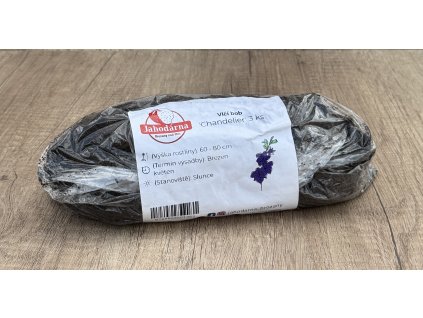 Vlčí bob 'Chandelier' 3 ks