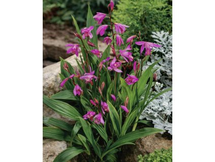 22EF6A31 5A93 4F0F 9514 270B6450A49B