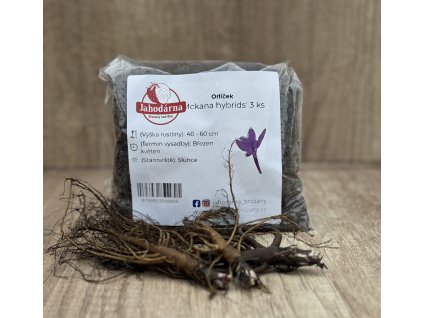 Orlíček 'Mckana hybrids' 3 ks