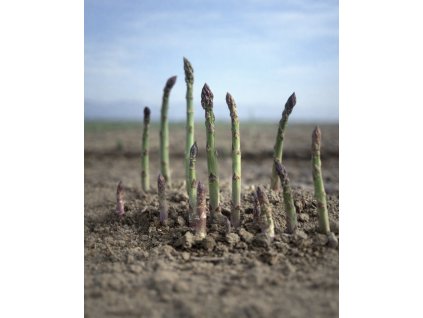 EFDB10AA 2963 4E50 8992 75920CB49424