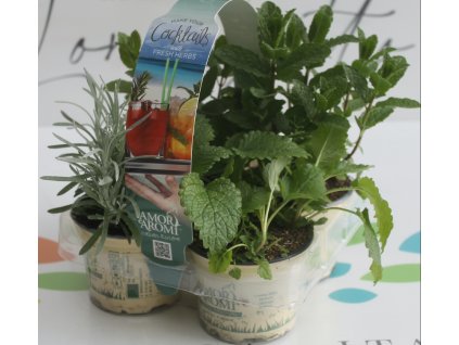 Koktejlový mix bylinek