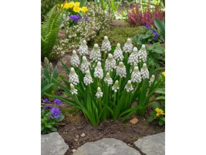 Generated Image November 12, 2025 9 08AM