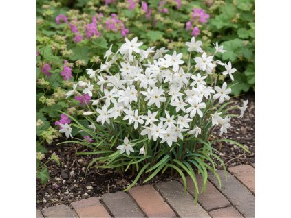 garden ai 1769605067251