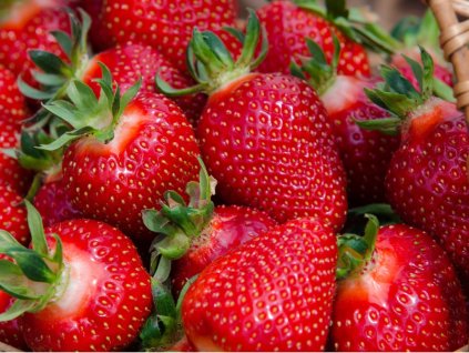 strawberries picture id476300090