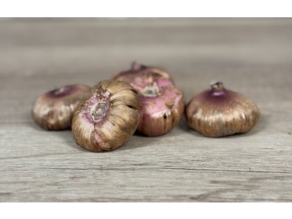 Mečík 'Peter pears' 5 ks
