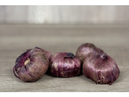 Mečík 'Plum tart' 5 ks