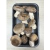Shiitake - Houževnatec jedlý 200 g