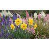 garden design 39