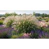 garden design 17