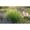 garden design 16