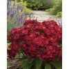 garden design 50