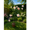 ChatGPT Image 23. 7. 2026 12 46 17