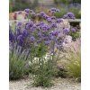 garden design 23