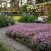garden ai 1769683745243