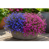 ChatGPT Image 18. 5. 2026 17 04 41